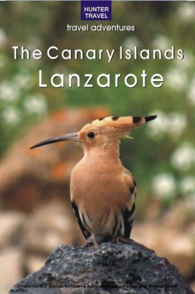The Canary Islands: Lanzarote
