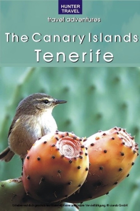 The Canary Islands: Tenerife
