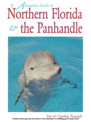 Northern Florida: Jacksonville, St. Augustine, Pensacola, Tallahassee & Beyond