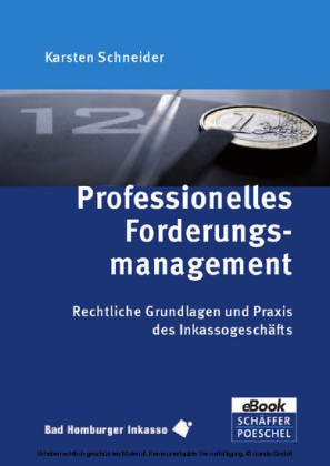 Professionelles Forderungsmanagement
