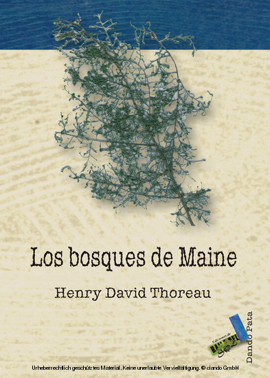 Los bosques de Maine main product photo