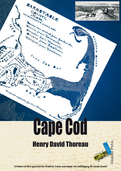 Cape Cod main product photo