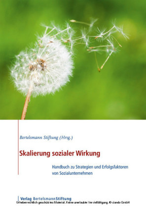 Skalierung sozialer Wirkung