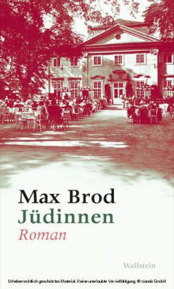 Jüdinnen. Roman
