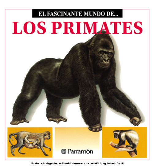 Los Primates main product photo