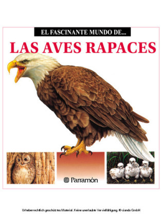 Las Aves Rapaces