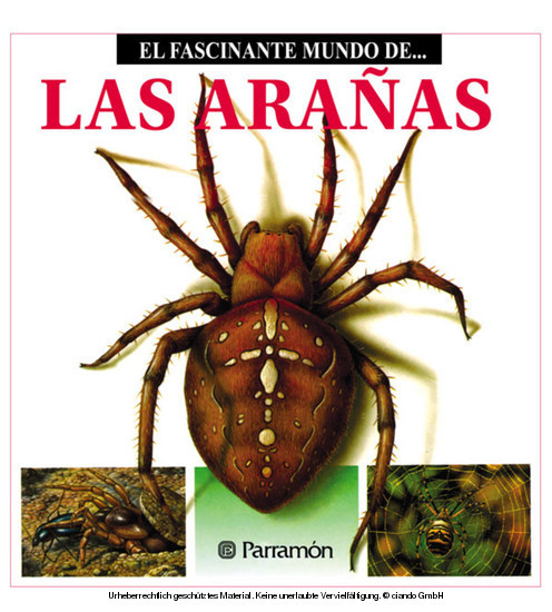Las Arañas main product photo