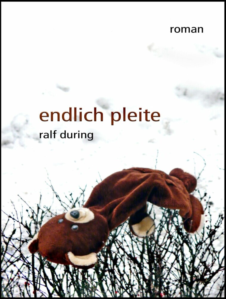 endlich pleite main product photo