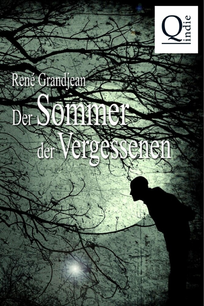 Der Sommer der Vergessenen. Bd.1 main product photo