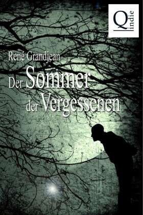 Der Sommer der Vergessenen. Bd.1
