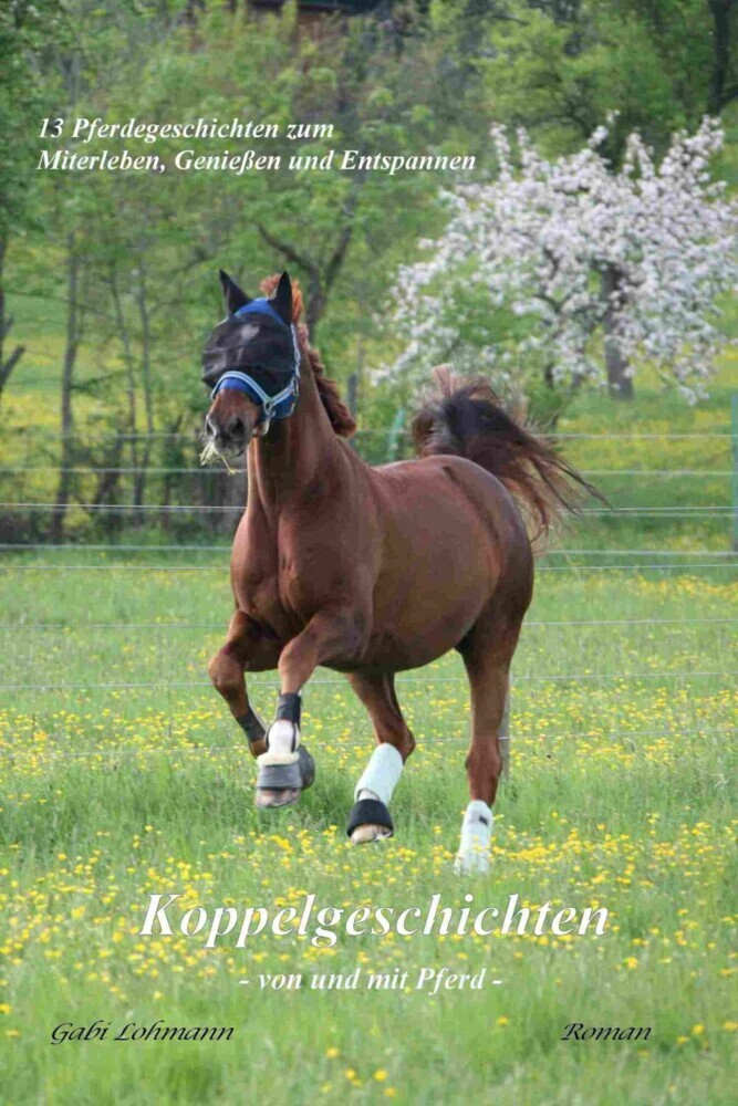 Koppelgeschichten - von und mit Pferd main product photo