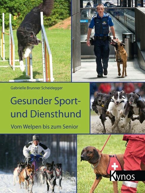Gesunder Sport- und Diensthund main product photo