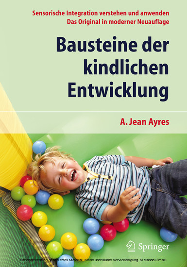 Bausteine der kindlichen Entwicklung main product photo