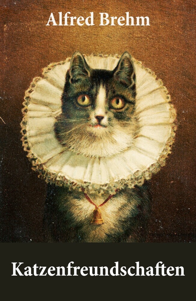 Katzenfreundschaften (4 wunderschöne Katzengeschichten vom Tiervater Alfred Brehm) main product photo