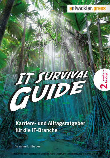 IT Survival Guide main product photo