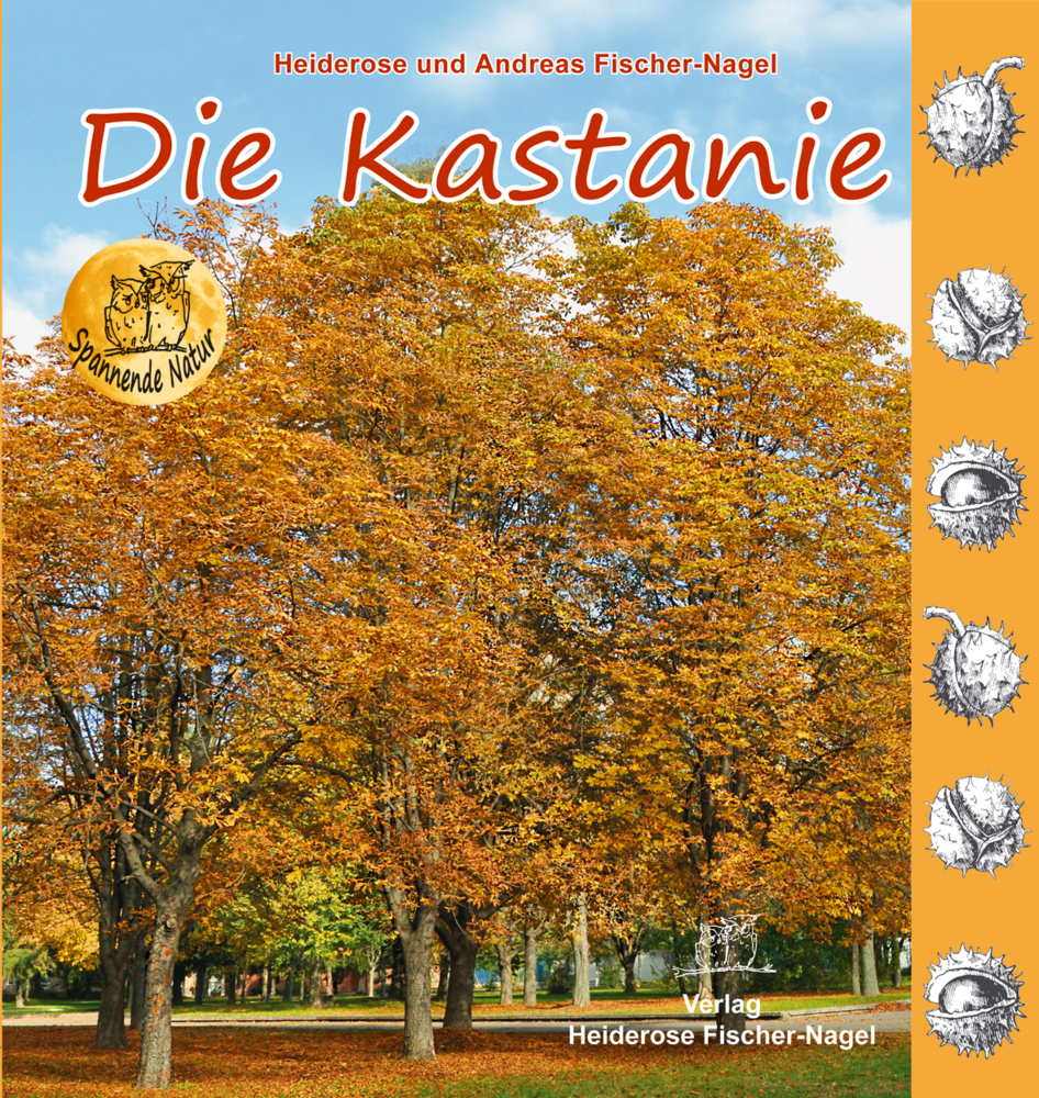 Die Kastanie main product photo