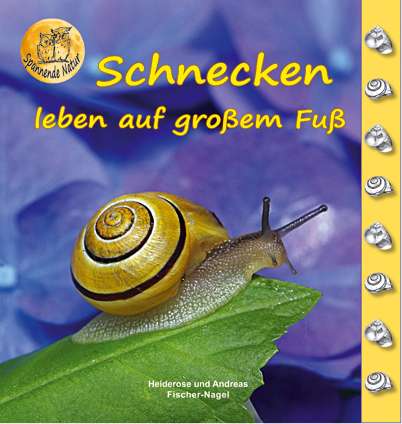 Schnecken main product photo