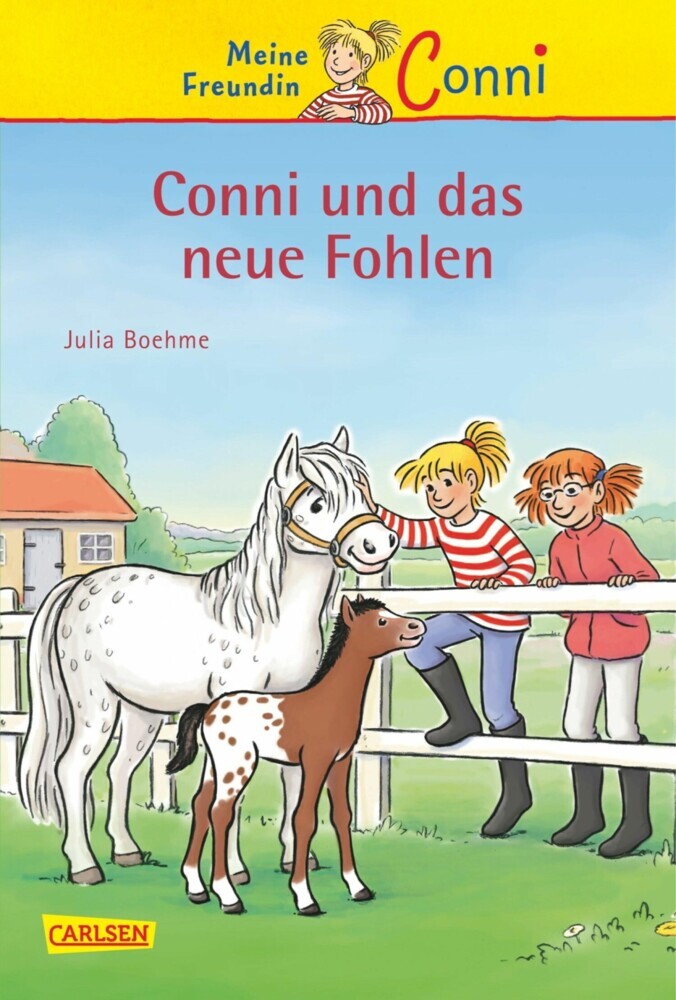 Conni Erzählbände 22: Conni und das neue Fohlen main product photo