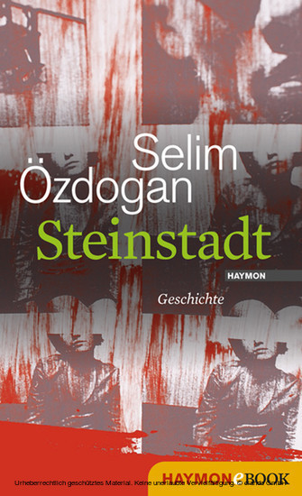 Steinstadt main product photo