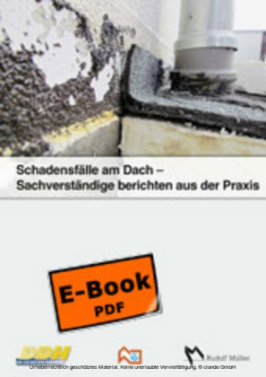 Schadensfälle am Dach