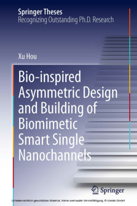 Bio-inspired Asymmetric Design and Building of Biomimetic Smart Single Nanochannels
