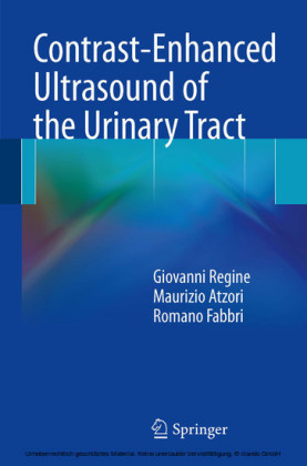 Contrast-Enhanced Ultrasound of the Urinary Tract