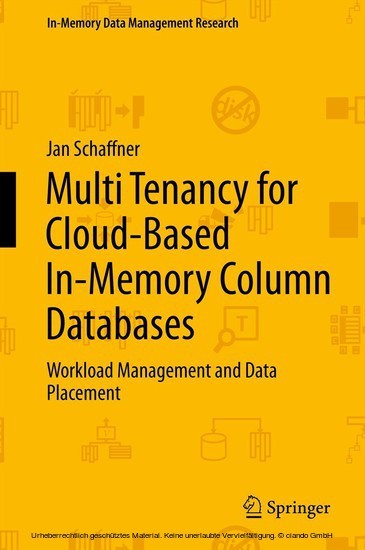 Multi Tenancy for Cloud-Based In-Memory Column Databases main product photo