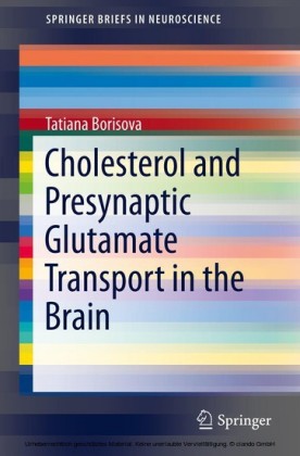 Cholesterol and Presynaptic Glutamate Transport in the Brain