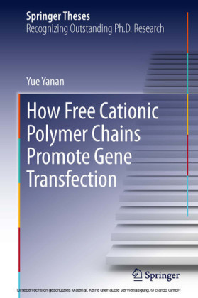 How Free Cationic Polymer Chains Promote Gene Transfection