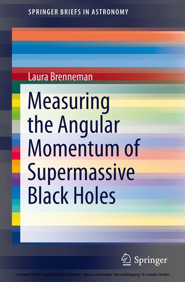 Measuring the Angular Momentum of Supermassive Black Holes main product photo