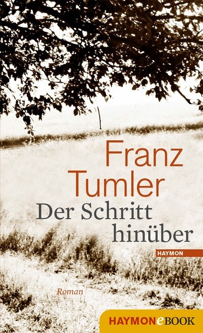 Der Schritt hinüber main product photo