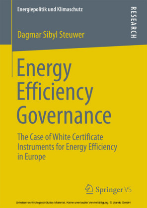 Energy Efficiency Governance