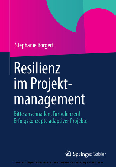 Resilienz im Projektmanagement main product photo