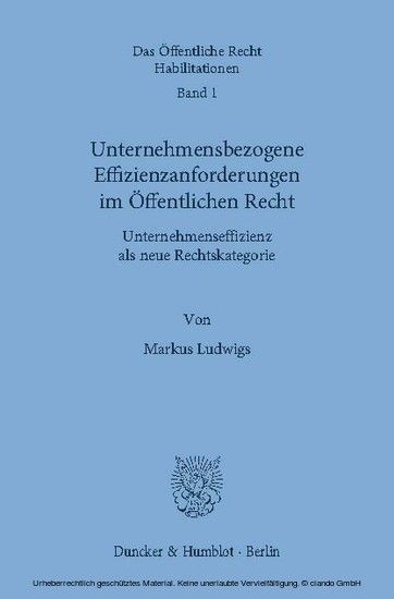 Unternehmensbezogene Effizienzanforderungen im Öffentlichen Recht. main product photo