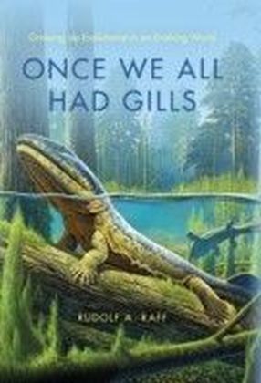 Once We All Had Gills
