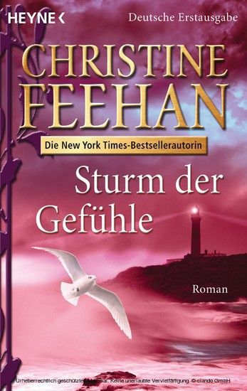 Sturm der Gefühle main product photo