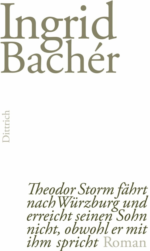 Theodor Storm fährt nach Würzburg und erreicht seinen Sohn nicht, obwohl er mit ihm spricht main product photo