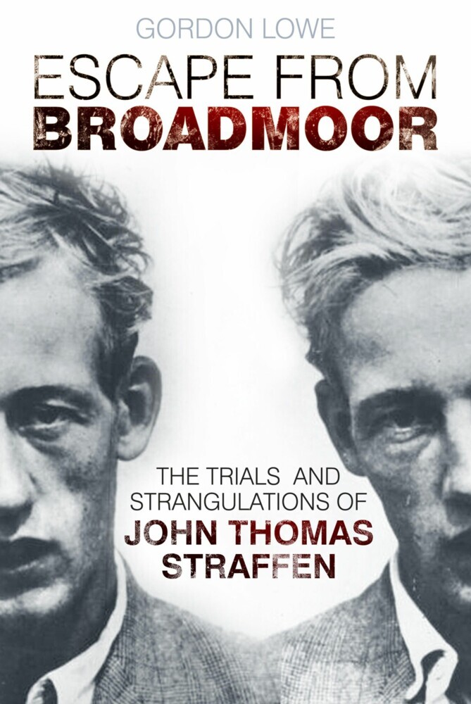 Escape From Broadmoor main product photo