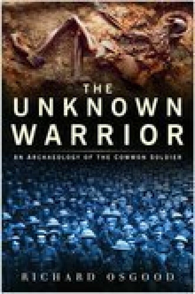 The Unknown Warrior main product photo