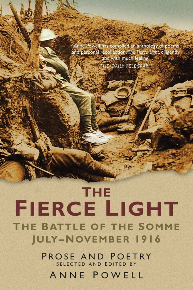 The Fierce Light main product photo