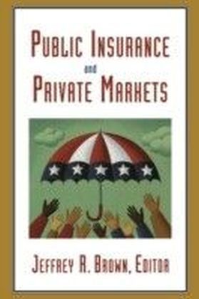 Public Insurance and Private Markets