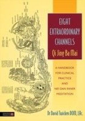 Eight Extraordinary Channels - Qi Jing Ba Mai main product photo