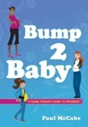 Bump 2 Baby main product photo