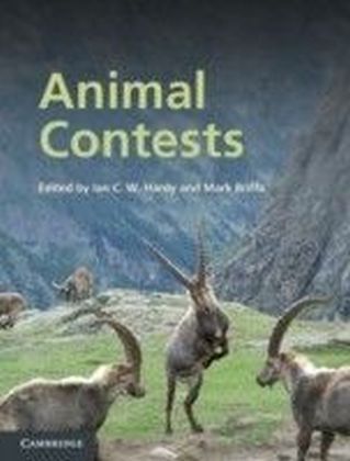 Animal Contests main product photo