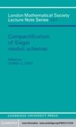 Compactification of Siegel Moduli Schemes