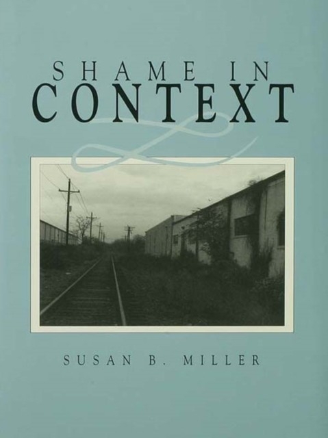 Shame in Context main product photo