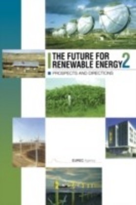 Future for Renewable Energy 2
