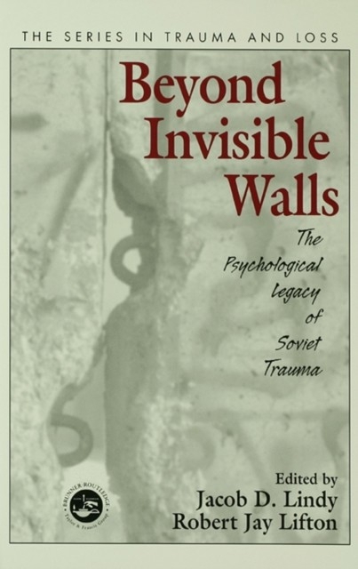 Beyond Invisible Walls main product photo