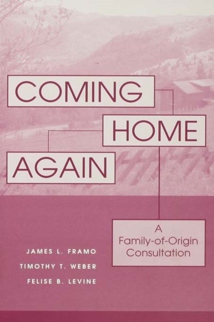 Coming Home Again main product photo