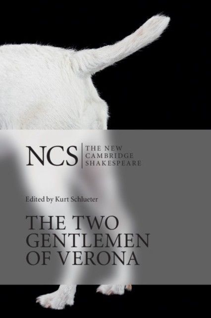 Two Gentlemen of Verona main product photo